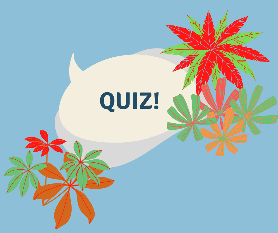 QUIZ